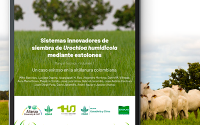 Boviplan participa de manual técnico sobre o plantio de Urochloa humidicola através de mudas nos “Llanos Orientales” na Colômbia